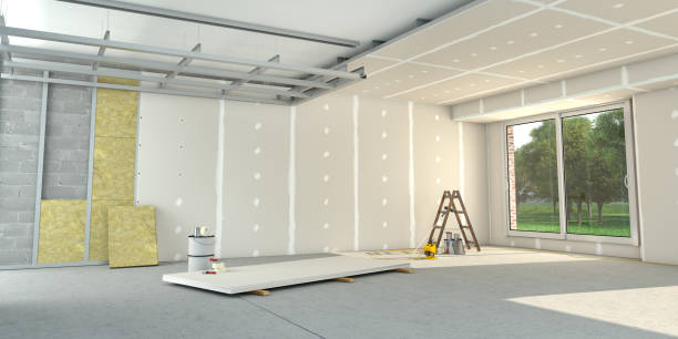 Insulation Repair Services in Mountain Lake, MN